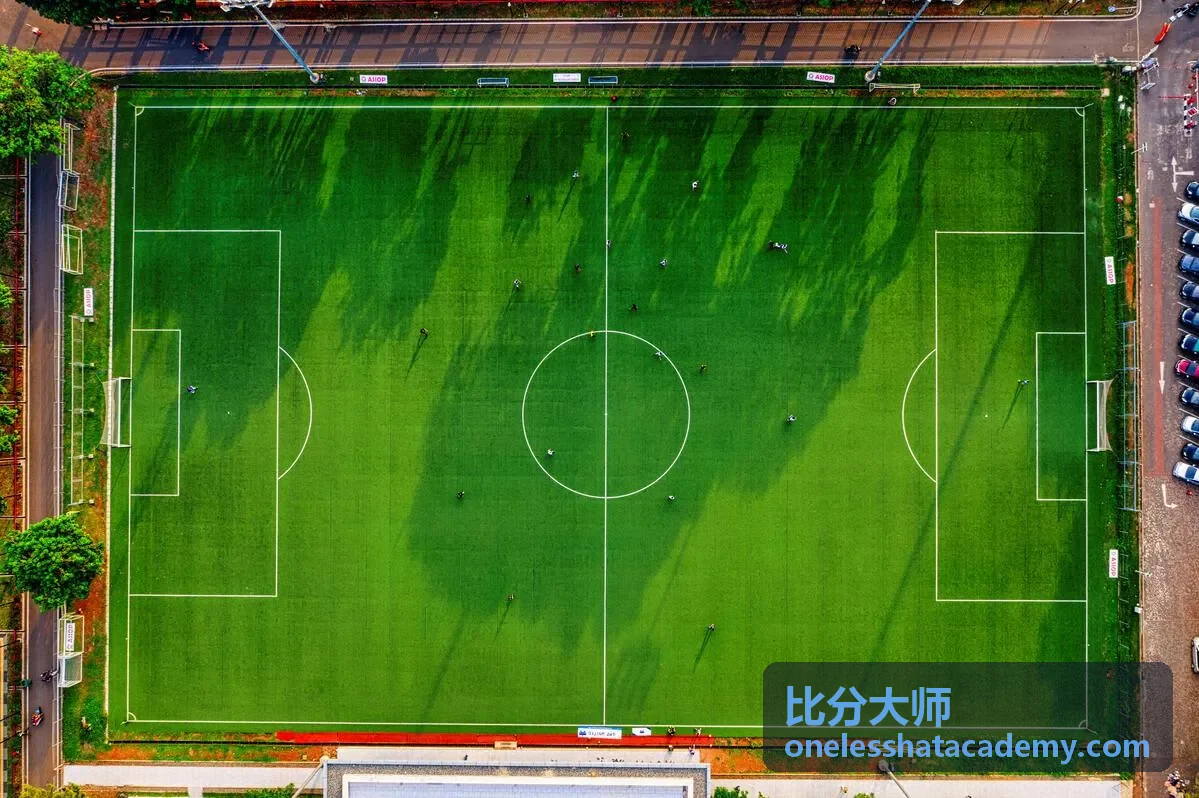 比分大师赛事预告 - 巴西对阵法国